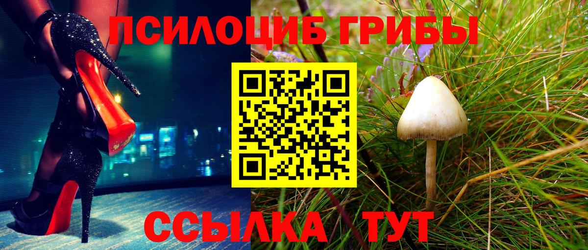 Псилоцибиновые грибы мицелий Горячий Ключ