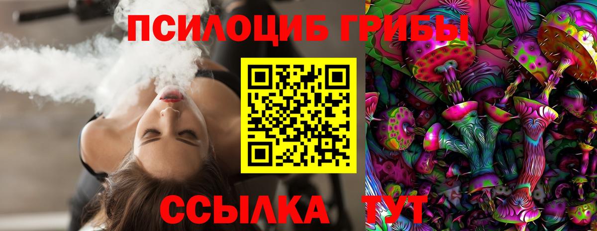 Псилоцибиновые грибы GOLDEN TEACHER  Галлюциногенные грибы прущие грибы  Вход с VPN  Горячий Ключ 